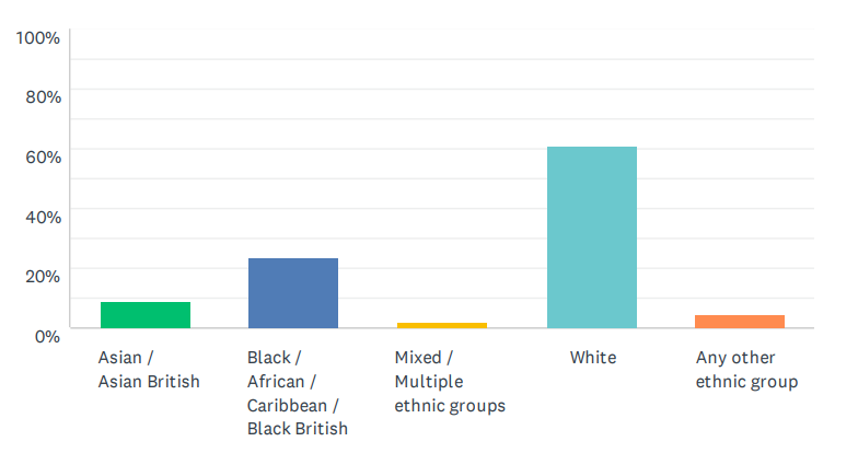 bar graph showing the percentage of respondents by ethnicity. 9.23% Asian/Asian British, 23.26% Black/African/Caribbean/Black British, 1.95% mixed/multiple ethnic groups, 61.17% white, 4.37% any other