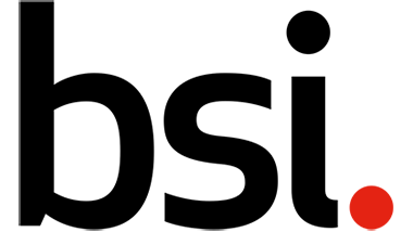 BSI logo TOC